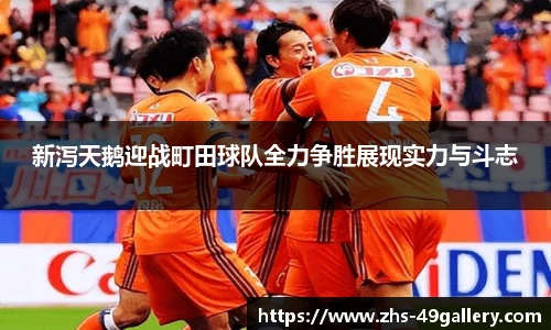 49图库官网首页